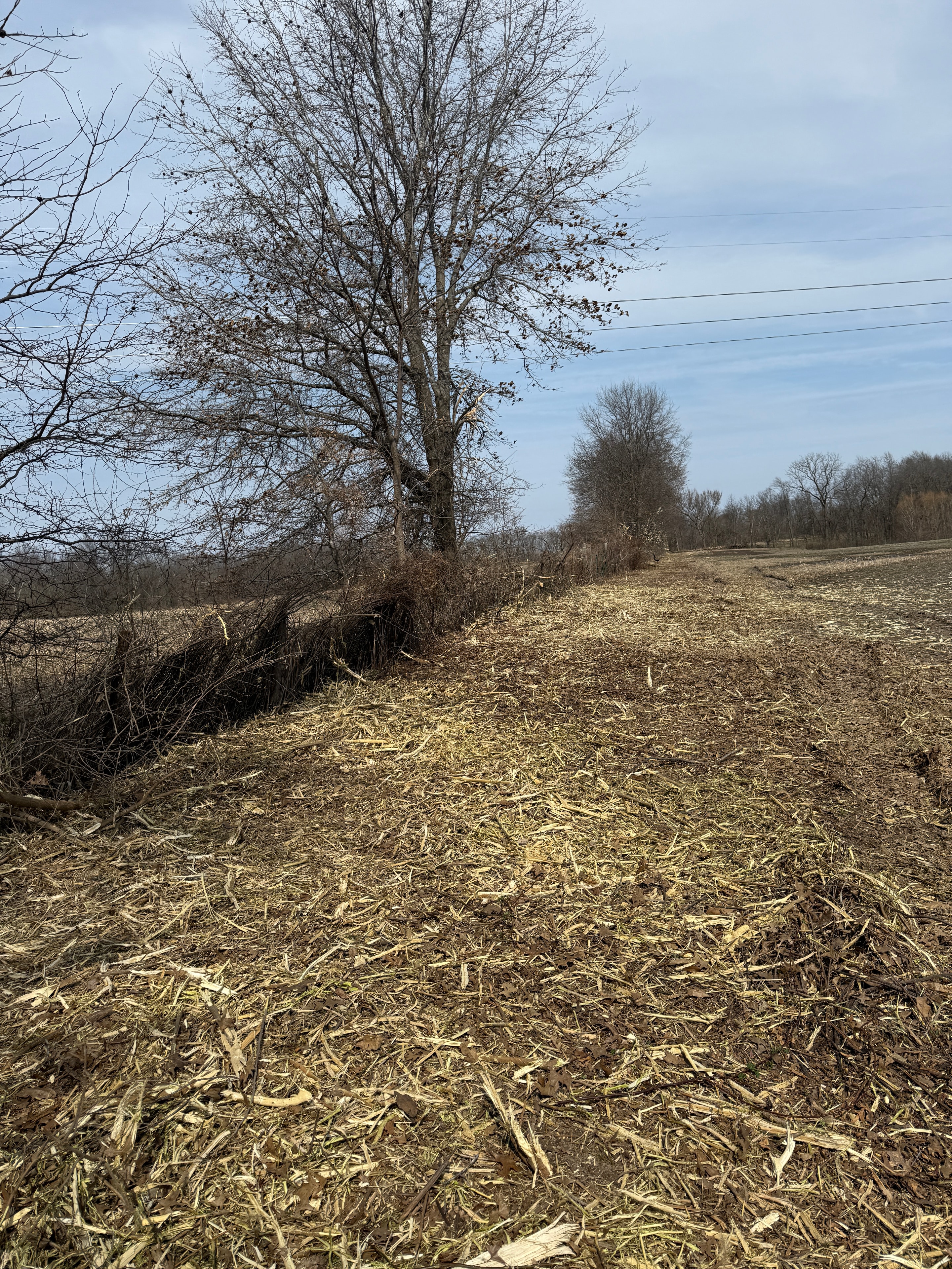 Field Clearing