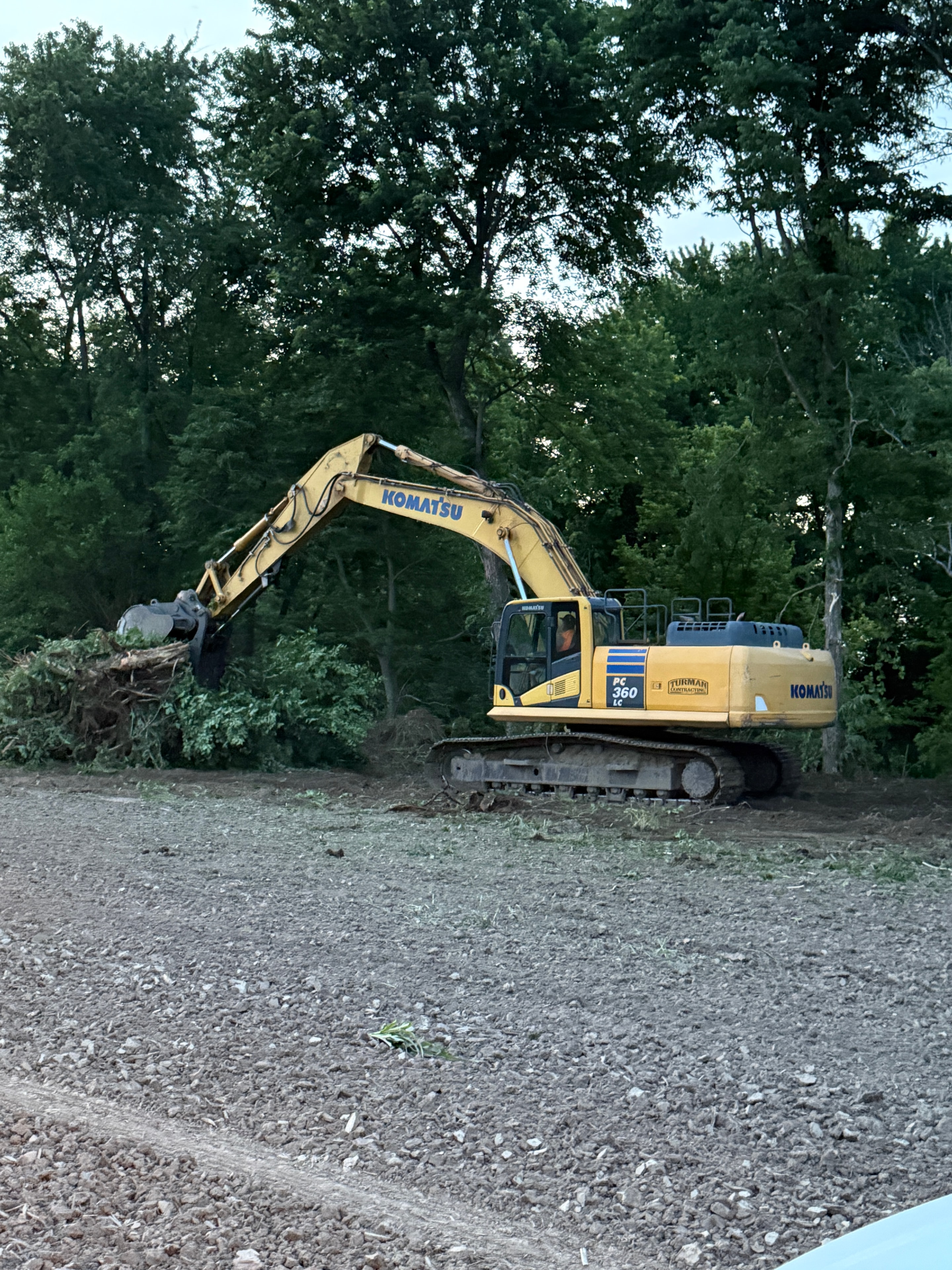 Wooded Site Excavation